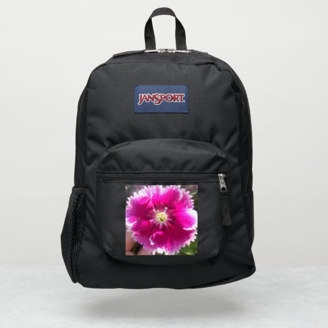 Promise JanSport Backpack (Front)