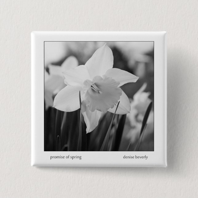 promise of spring daffodil jonquil black and white button (Front)
