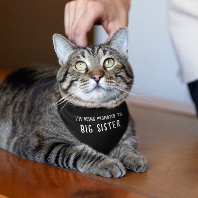 Promoted Big Brother/Sister Pregnancy Announcement Pet Bandana Collar (Creator Uploaded)