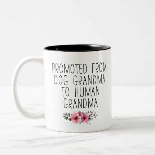 Promoted From Dog Grandma to Human Grandma Two_Ton Two_Tone Coffee Mug