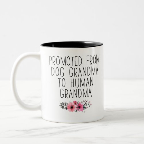 Promoted From Dog Grandma to Human Grandma Two_Tone Coffee Mug
