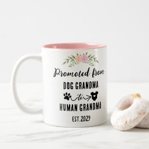 Promoted from dog grandma to human grandma on sale mug