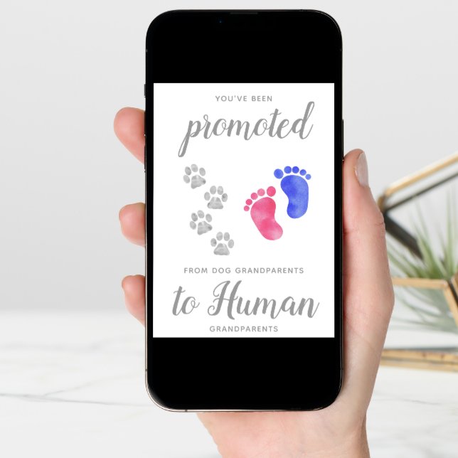 Promoted From Dog New Grandparents Pregnancy Announcement (Front Digital)