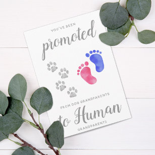 Polaroid Style Baby Pregnancy Announcement Card Baby Scan Card, Going to  Be a Nanna and Grandad Card, Baby Announcement Card, Photo Card, 