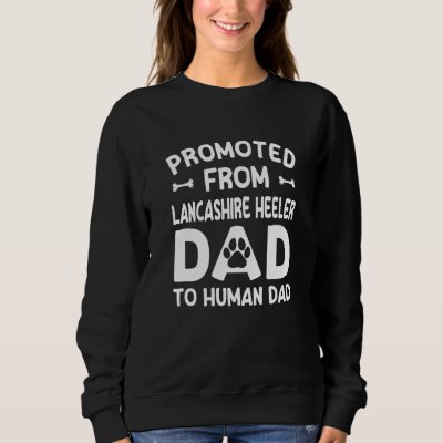 Promoted From Lancashire Heeler Dad To Human Dad Sweatshirt