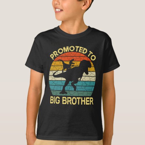 Promoted to big brother dinosaur Matching Sibling T_Shirt