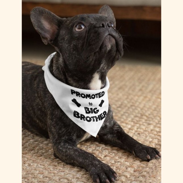 Promoted To Big Brother Dog Pregnancy Announcement Bandana (Creator Uploaded)