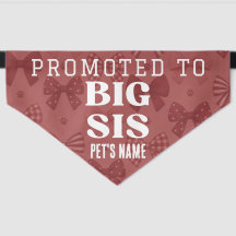 Promoted to Big Sis Personalized blue with bowties