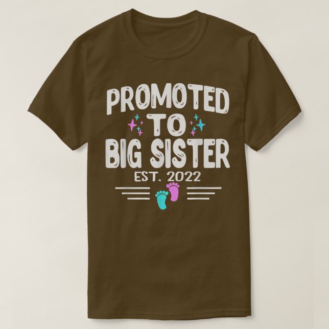 Promoted To Big Sister Est 2022 Gender Reveal Pink T-Shirt (Design Front)