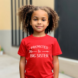 Promoted to Big Sister Pregnancy Announcement T-Shirt