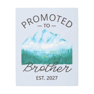 Promoted To Brother Est 2027 Big Brother VI Metal Print
