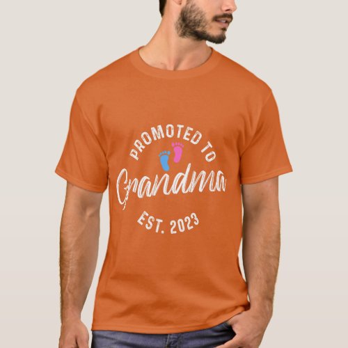 Promoted To Grandma Est 2023  funny vintage T_Shirt