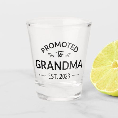 Promoted To Grandma Est 2023 II Shot Glass