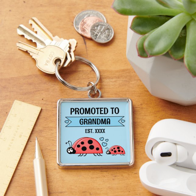 Promoted to Grandma ladybugs blue Keychain (Desk)