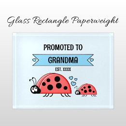 Promoted to Grandma ladybugs blue Paperweight