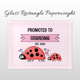 Promoted to Grandma ladybugs pink Paperweight