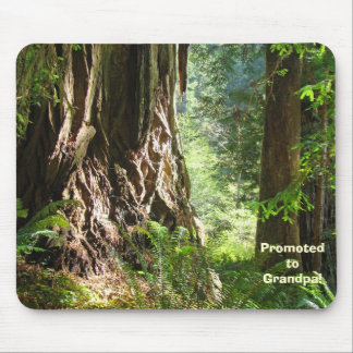 Promoted to Grandpa! mousepad Redwood Trees