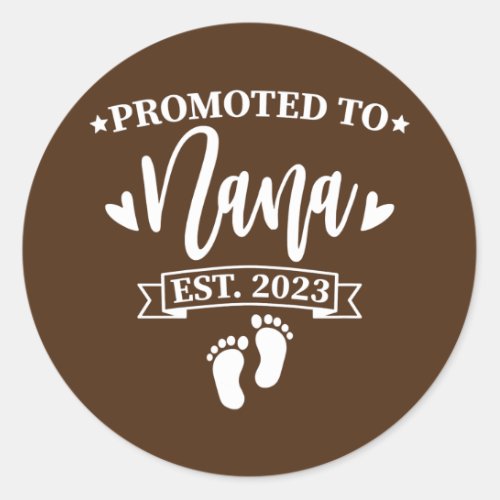 Promoted to Nana est 2023 New Grandmother Mothers Classic Round Sticker