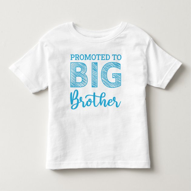 big brother shirt for cat