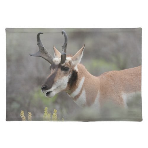Pronghorn Antelope Buck  Grand Tetons Cloth Placemat