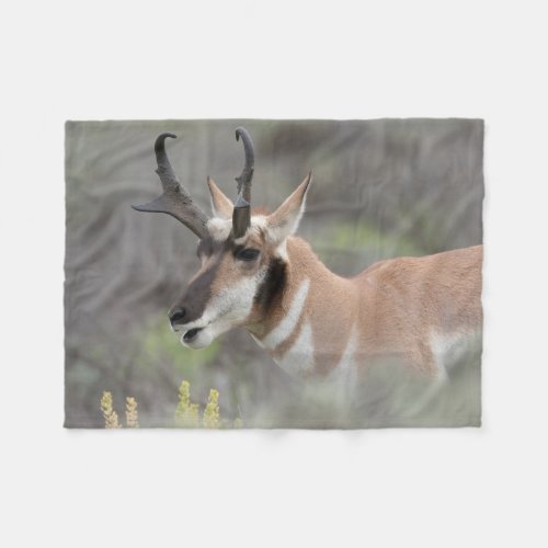 Pronghorn Antelope Buck  Grand Tetons Fleece Blanket