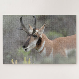 Pronghorn Antelope Buck Grand Tetons Jigsaw Puzzle
