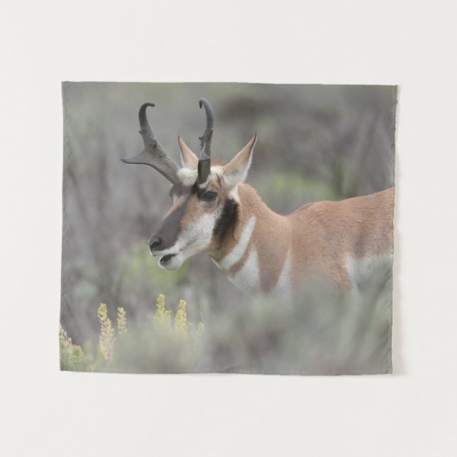 Pronghorn Antelope Buck | Grand Tetons Tapestry (Front (Horizontal))