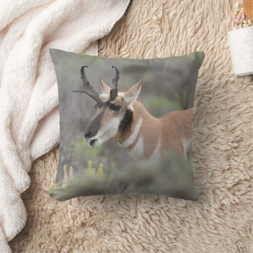 Pronghorn Antelope Buck  Grand Tetons Throw Pillow