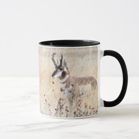 Pronghorn Antelope Buck In Wyoming Field Mug