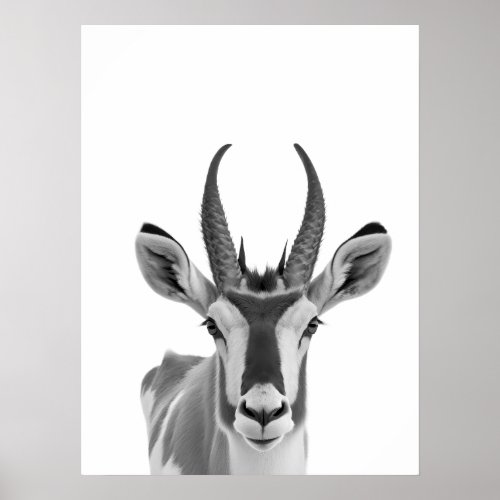 Pronghorn Antelope Desert Animal Portrait  Poster