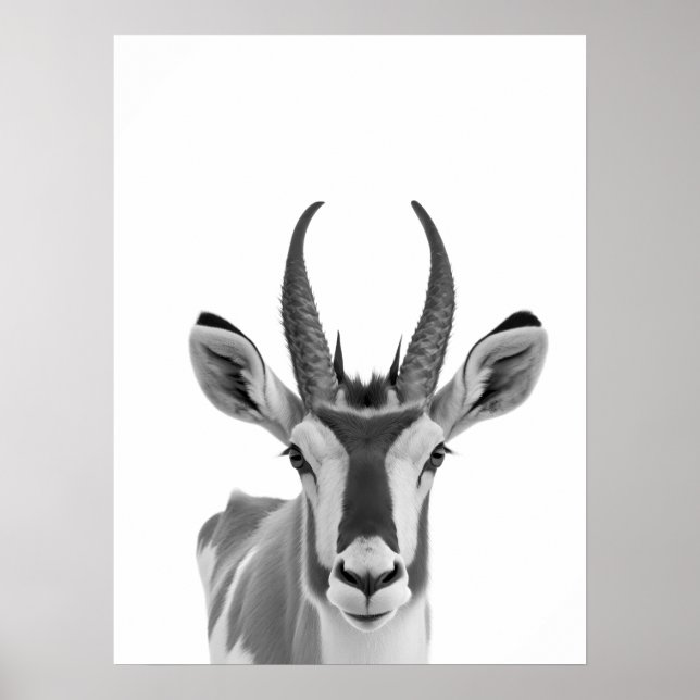Pronghorn Antelope Desert Animal Portrait  Poster (Front)
