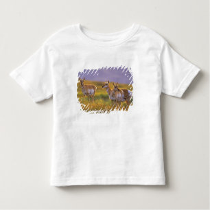 Pronghorn Antelope in Montana Toddler T-shirt