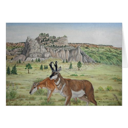 Pronghorn Antelope  Wildlife Art