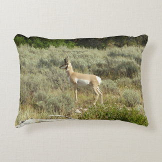 Pronghorn at Grand Teton National Park Accent Pillow