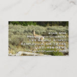 Pronghorn at Grand Teton National Park Business Card