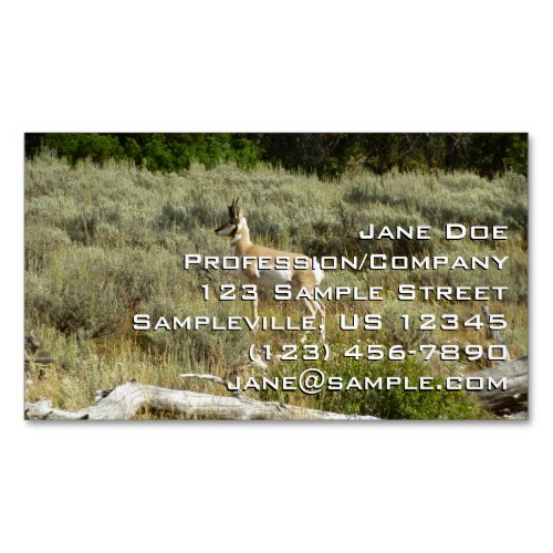 Pronghorn at Grand Teton National Park Business Card Magnet