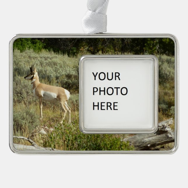 Pronghorn at Grand Teton National Park Christmas Ornament (Front)
