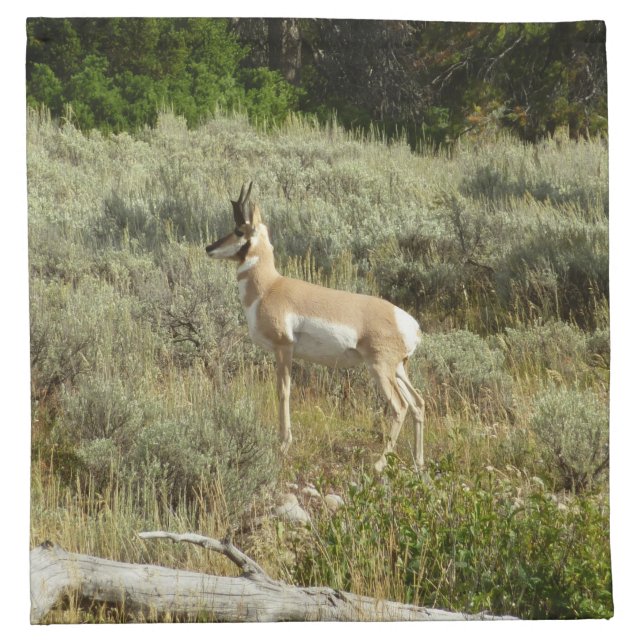 Pronghorn at Grand Teton National Park Cloth Napkin (Front)