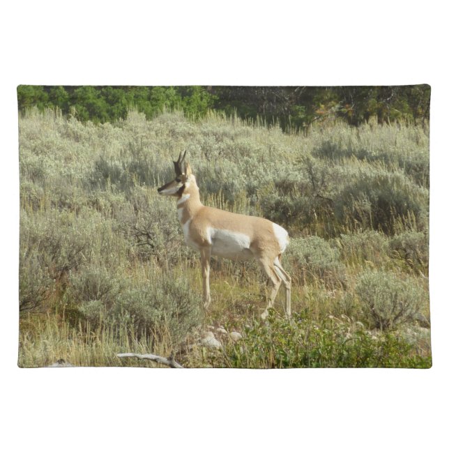 Pronghorn at Grand Teton National Park Cloth Placemat (Front)