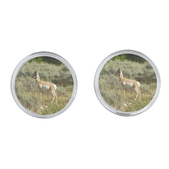 Pronghorn at Grand Teton National Park Cufflinks (Front)