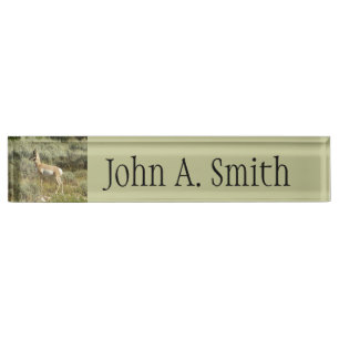 Pronghorn at Grand Teton National Park Desk Name Plate