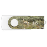 Pronghorn at Grand Teton National Park Flash Drive