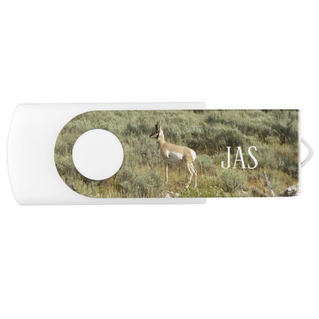 Pronghorn at Grand Teton National Park Flash Drive (Front)