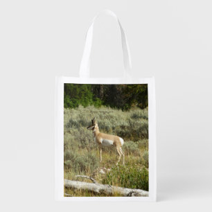 Pronghorn at Grand Teton National Park Grocery Bag