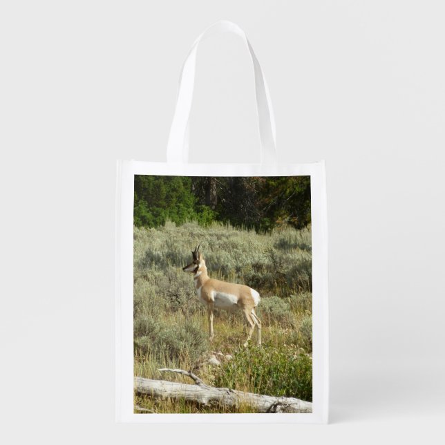 Pronghorn at Grand Teton National Park Grocery Bag (Front)