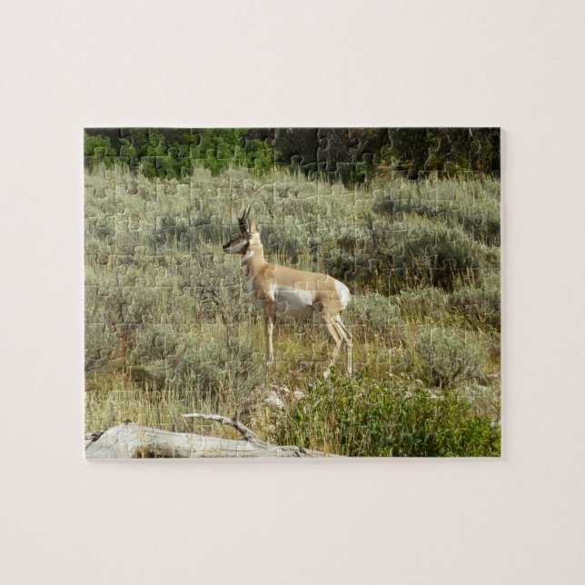 Pronghorn at Grand Teton National Park Jigsaw Puzzle (Horizontal)