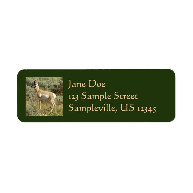 Pronghorn at Grand Teton National Park Label (Front)