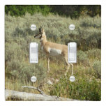 Pronghorn at Grand Teton National Park Light Switch Cover