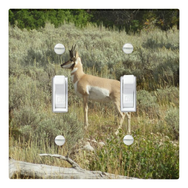 Pronghorn at Grand Teton National Park Light Switch Cover (In Situ)