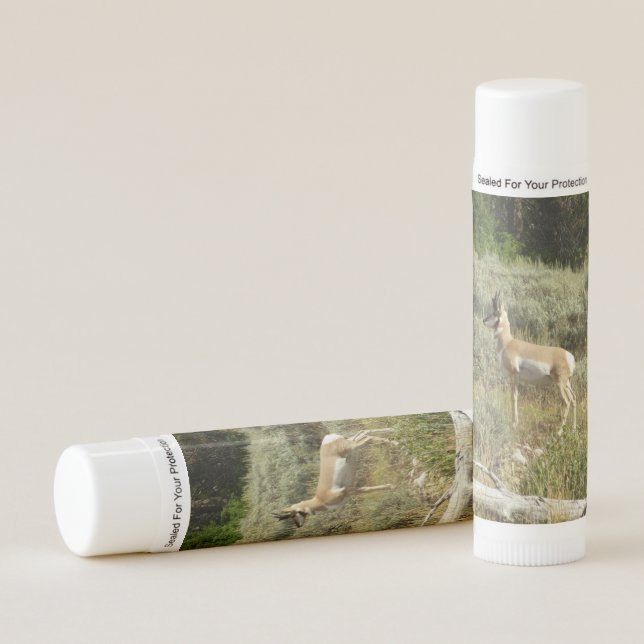 Pronghorn at Grand Teton National Park Lip Balm (Front)
